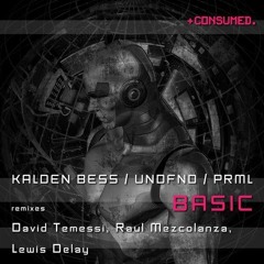 Kalden Bess, UNDFND, PRML - Basic (David Temessi Remix) - CSMD106