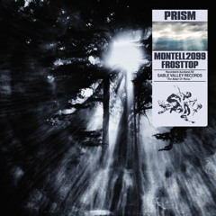 Montell2099 & FrostTop - PRISM
