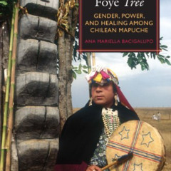 GET EPUB 📘 Shamans of the Foye Tree: Gender, Power, and Healing among Chilean Mapuch