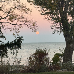 Flamingosis x Lil Wayne - Nebula Gazer x Sorry 4 The Wait iTFiTZ