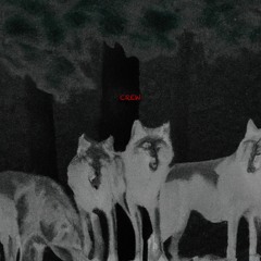 ++, Tryston & Tireek - CREW