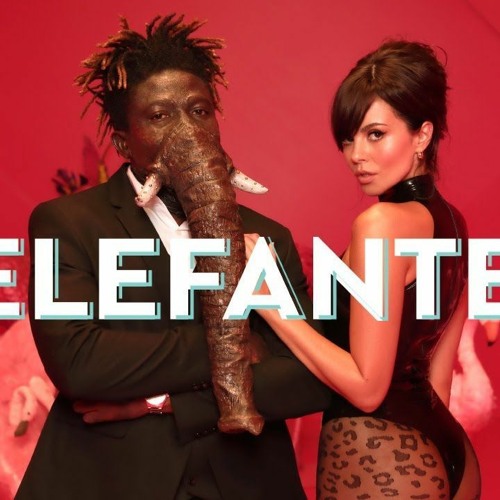 NK - ELEFANTE (STAN ADRIAN EDIT 2020 -122- BPM)
