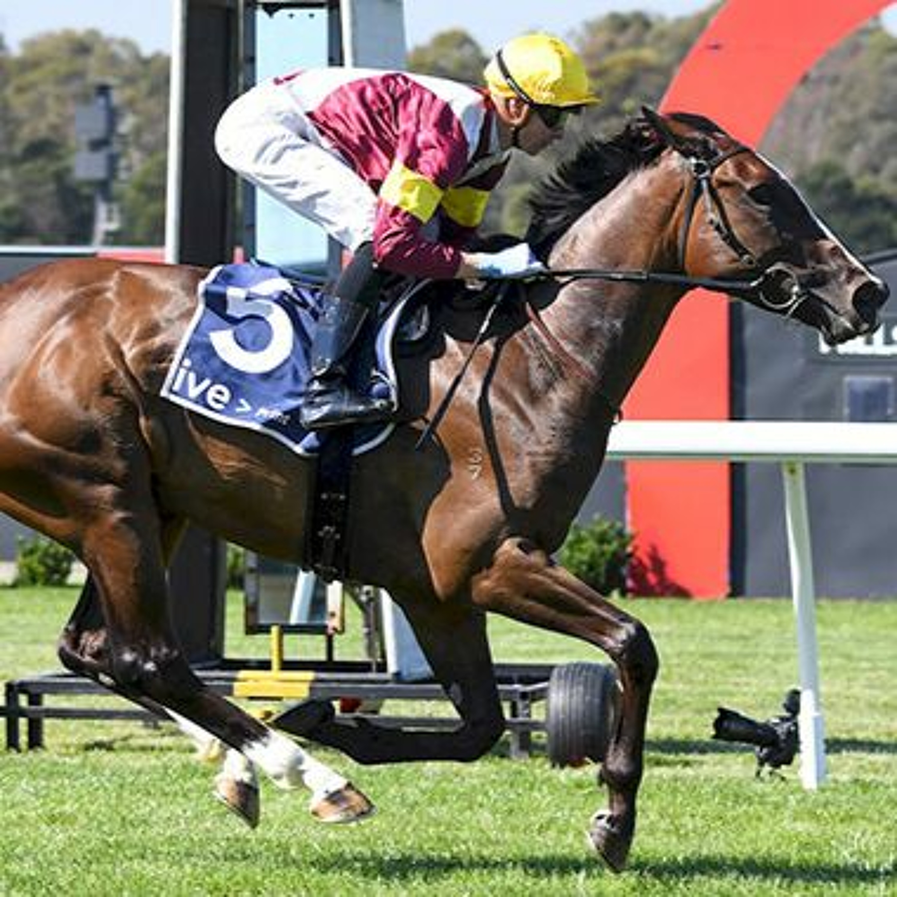 Robert Sangster & Australasian Oaks Punting Preview