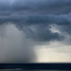 Where the Wild Winds Roam