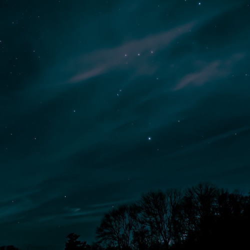 under the starry sky