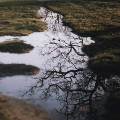 Maybe In Another Life