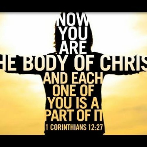 Many Members - One Body