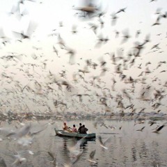 يابيتنا - حسن بريسم