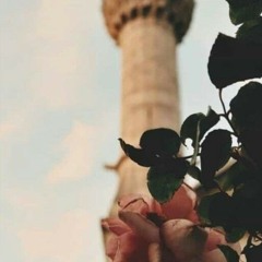 أعمل ايه في العشر؟ الشيخ محمد خيري