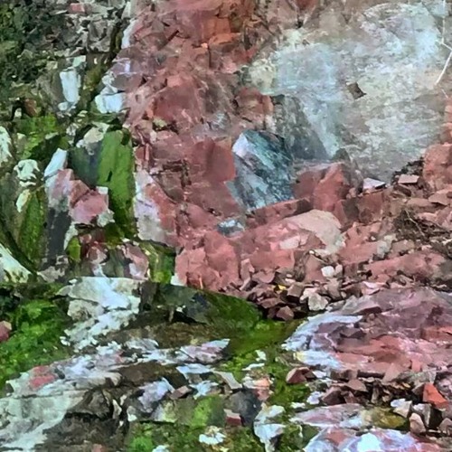 Psilocybin