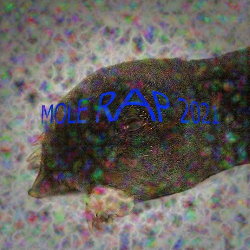 Stream Mole Rap 2021 (prod vermin ft. Papa Sleep) by ZELTWOOD | Listen ...