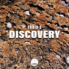 AMP105 - Fabio S - Discovery