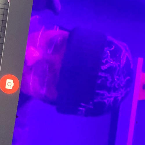 no sense prod. okwonton x thisismercee