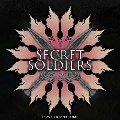 VA - Secret Soldiers Volume II