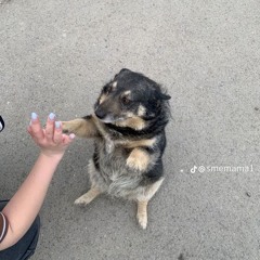 weeewee hours w/ legist