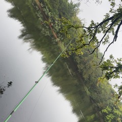 District4 beat by#Santos