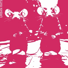 Urban Rats