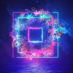 1 hour Guest Mix @ Club Halva