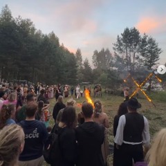 Yang Plant - LaRes Festival 2025