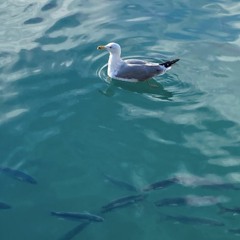 nothing comes easy 쉬운 일은 없다