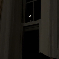 ‎⁨على شانكم ياللي | سعود ال جوزاء  ⁩