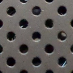 Piriformis