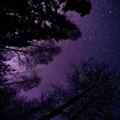 brand new - the no seatbelt song (slowed + reverb)