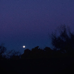 tapandooo tuuus besooos