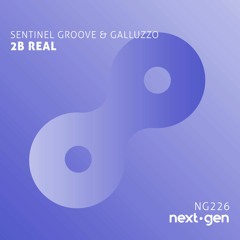 Sentinel Groove & Galluzzo - 2B Real