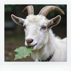 Das Lied von der Ziege Nimmersatt