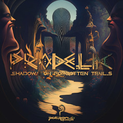 Prodelic & Fabelwesen - Echoes of the Unseen