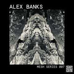 Mesh Series 07: Alex Banks