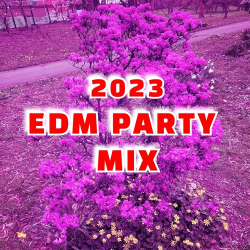 dj mix 2023 edm