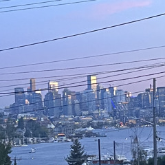 THE GIRL UNDER THE BRIDGE