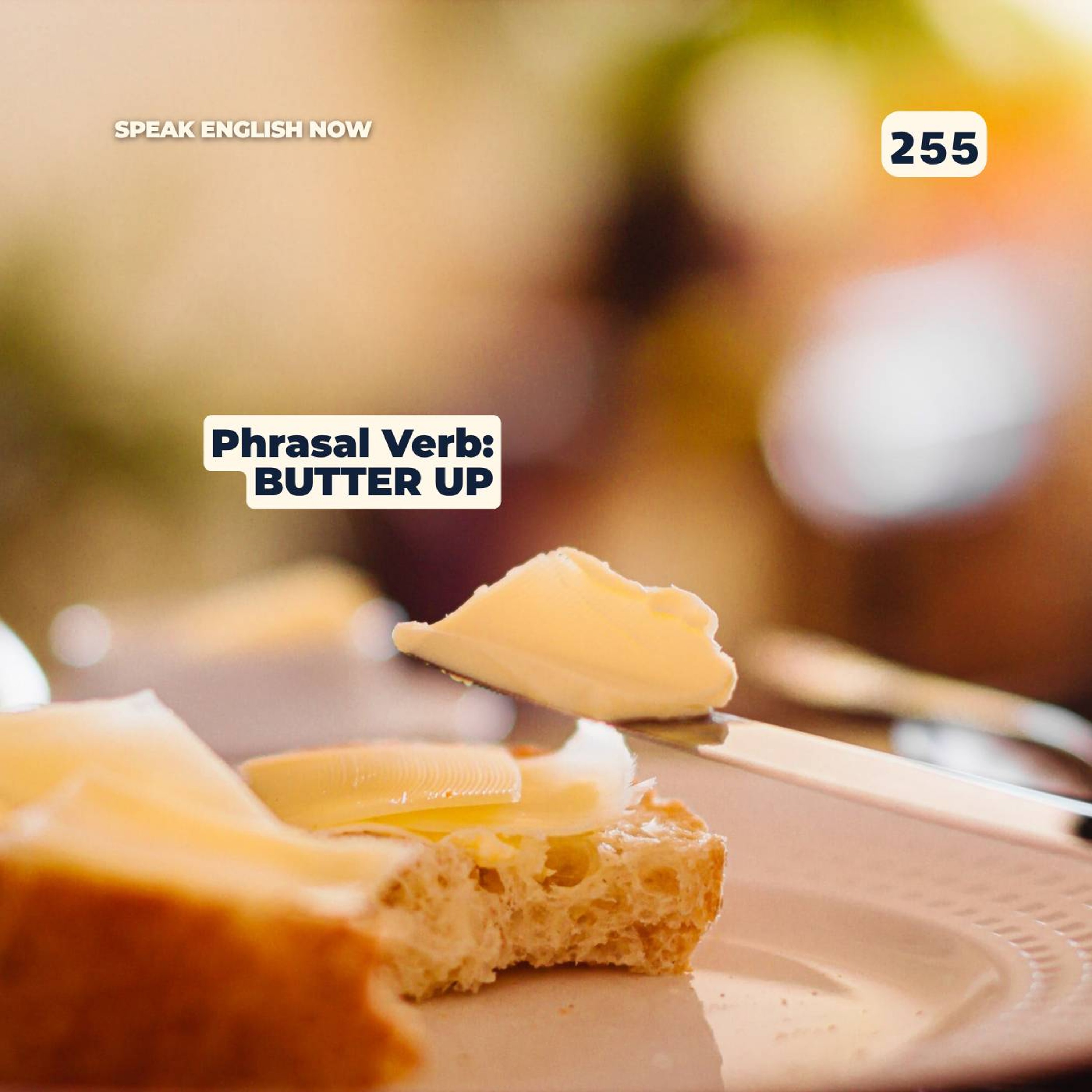 255 Phrasal Verb - To Butter Up episode artwork