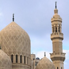 لَقَدْ جَاءَكُمْ رَسُولٌ مِّنْ أَنفُسِكُمْ / الشيخ إبراهيم الشعشاعي