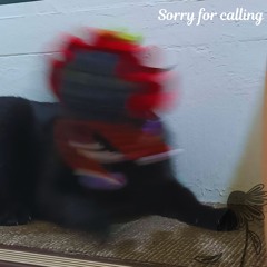 Sorry For Calling (jewelryboy)