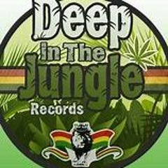 Deep in the Jungle DJ Mix