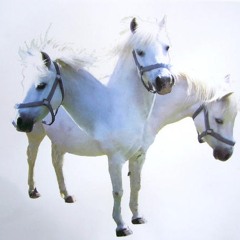 3 Headed Horse (Feat. Lil Barnabus & CeeCee)