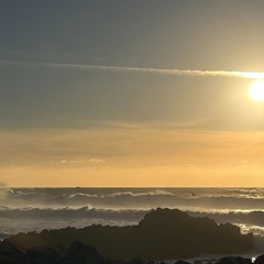 BMS (BodyMindSoul) Prod. by : Larkin Noir