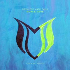Drival feat. Angel Falls - Now & Here