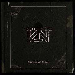 Video Nasties - Harvest Of Flies