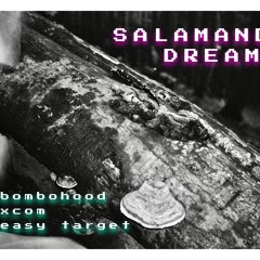 Salamander’s dreams .mp3