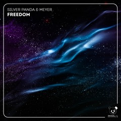 Premiere: Silver Panda & Meyer - Freedom