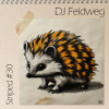 Striped #30 DJ Feldweg DJ mix artwork - Electronic music tracklist cover image