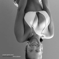 Windowlicker (propah ganda remix)