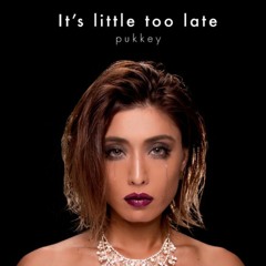 It_s little too late pukkey