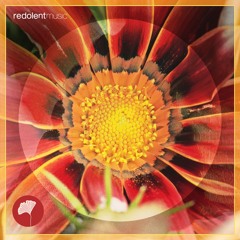 RDT079 The Remix Session EP