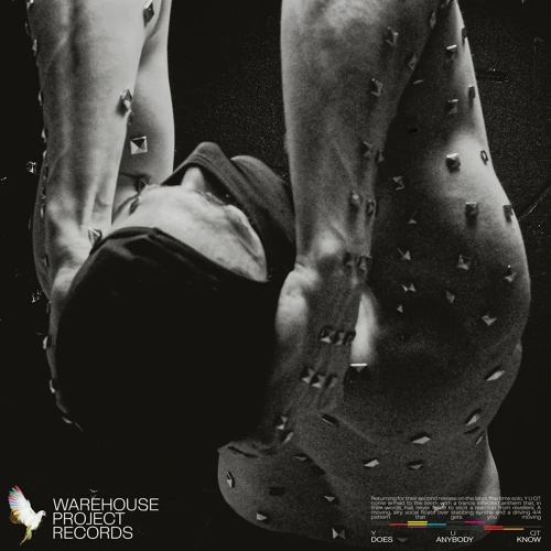 Artwork for the song Y U QT - Does Anybody Know by Y U QT on Next Sound