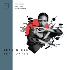 Sean & Dee - Sea Turtle (Original Mix) | ICONYC NYC145